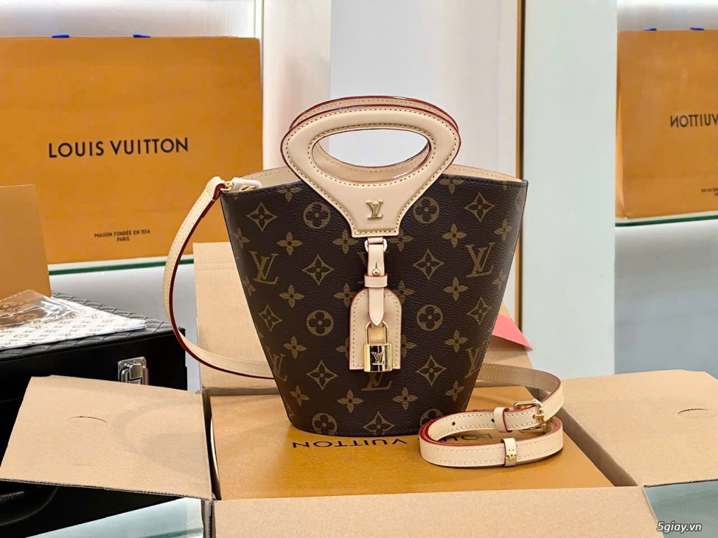 Louis Vuitton Bella Bucket Monogram Canvas - 1
