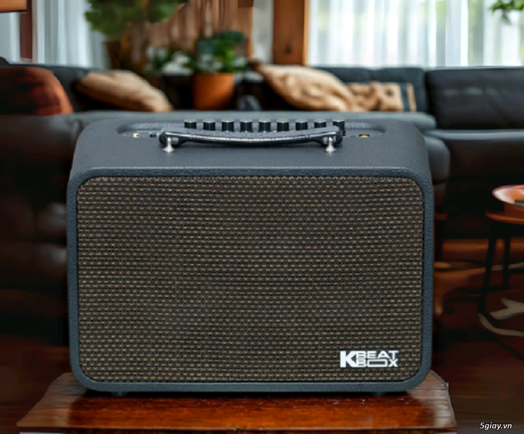 Loa di động Acnos CS160Pro khuyến mãi chân gỗ kê loa - 2