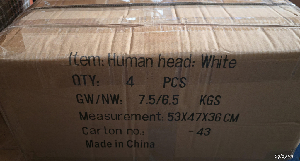 Hình hài hước... Nhiều thể loại vui nhôn