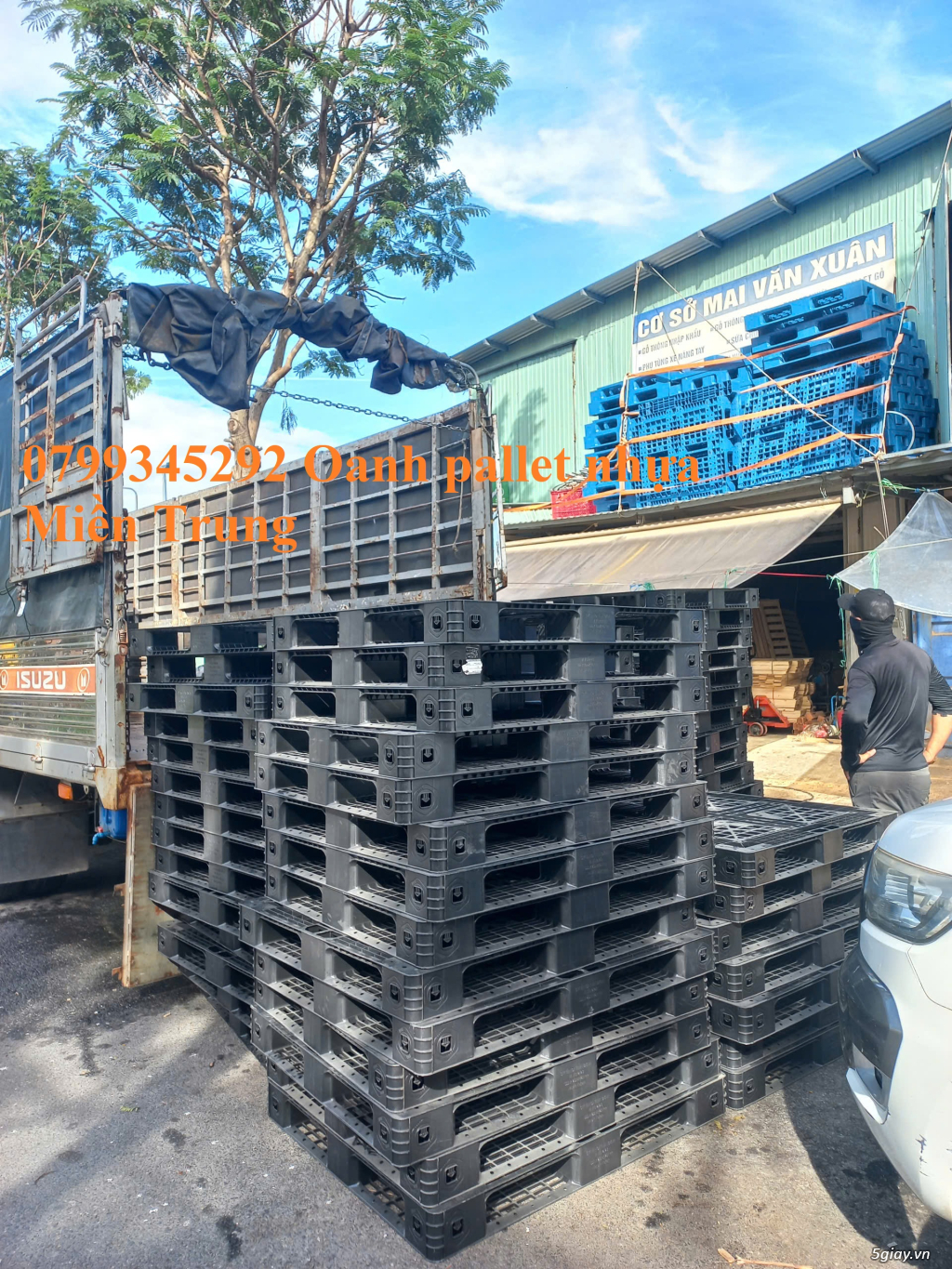 Pallet nhựa Quảng Nam thanh lý số lượng lớn – 0799 345 292