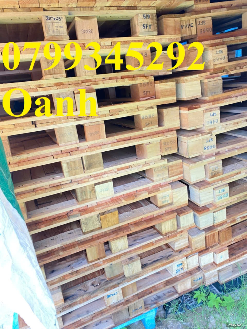 Bán pallet gỗ mặt kín 1130x970x140mm Quảng Ngãi – 0799345292 Oanh
