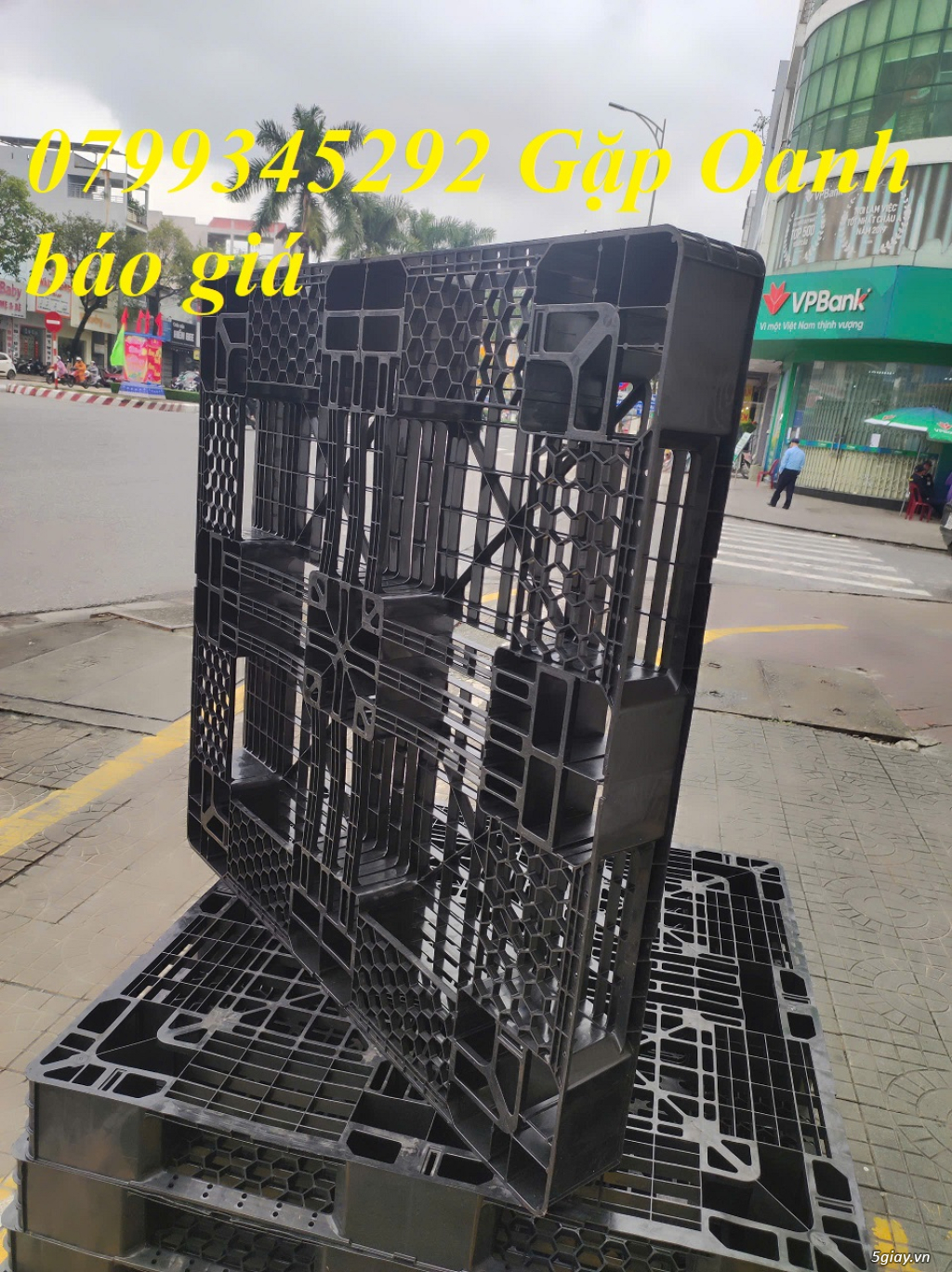 Thanh lý pallet nhựa Quảng Trị cho kho nông sản mùa mưa – LH 0799.345.