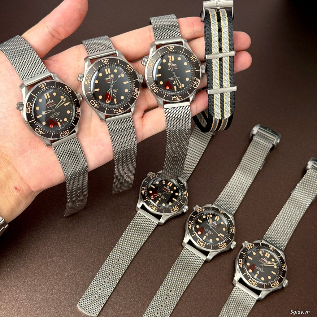 The Tamt  Niềm Đam Mê Đồng Hồ Hội Tụ Về Một Nơi A.P - Patek - Role.x - 2