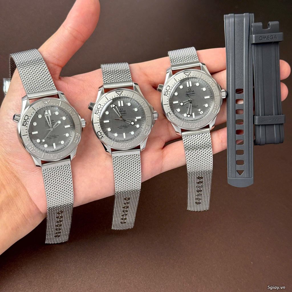 The Tamt  Niềm Đam Mê Đồng Hồ Hội Tụ Về Một Nơi A.P - Patek - Role.x - 13