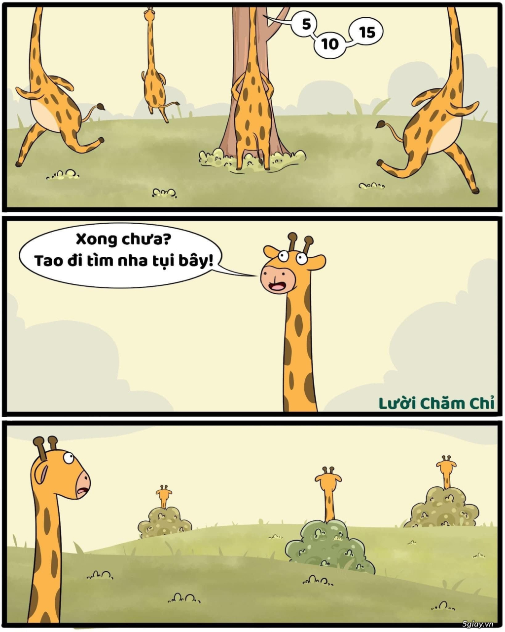 Hình hài hước... Nhiều thể loại vui nhôn - 4