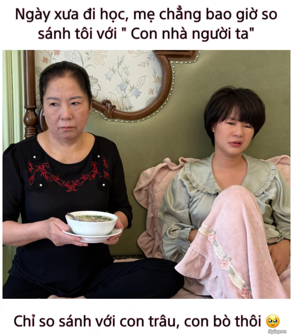 Hình hài hước... Nhiều thể loại vui nhôn - 4