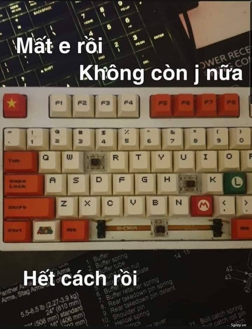 Hình hài hước... Nhiều thể loại vui nhôn