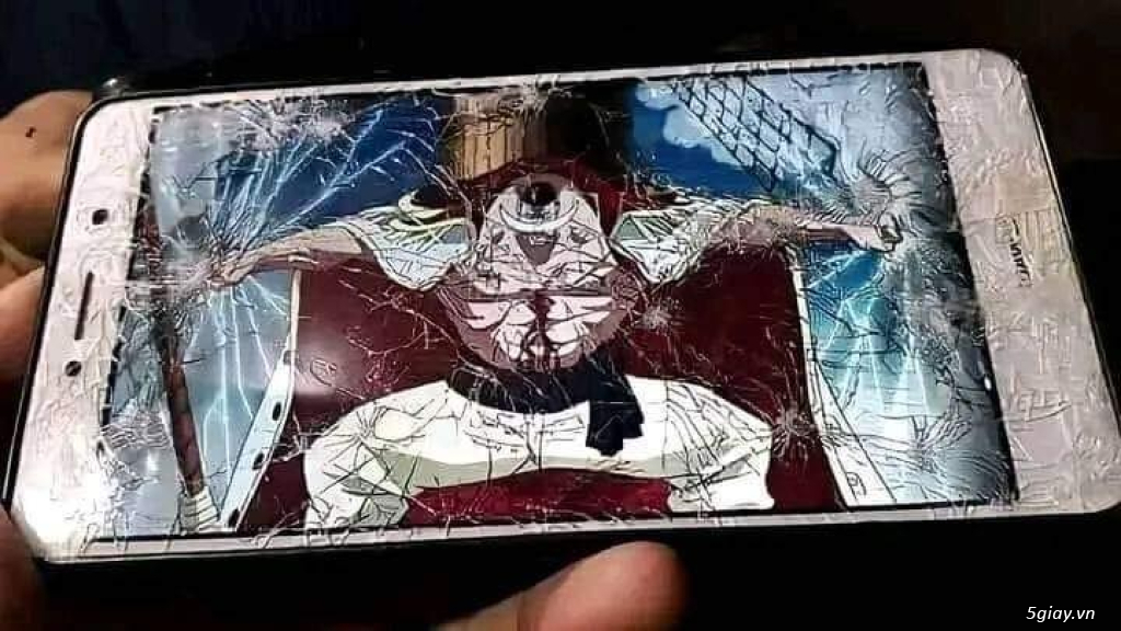 Hình hài hước... Nhiều thể loại vui nhôn - 2