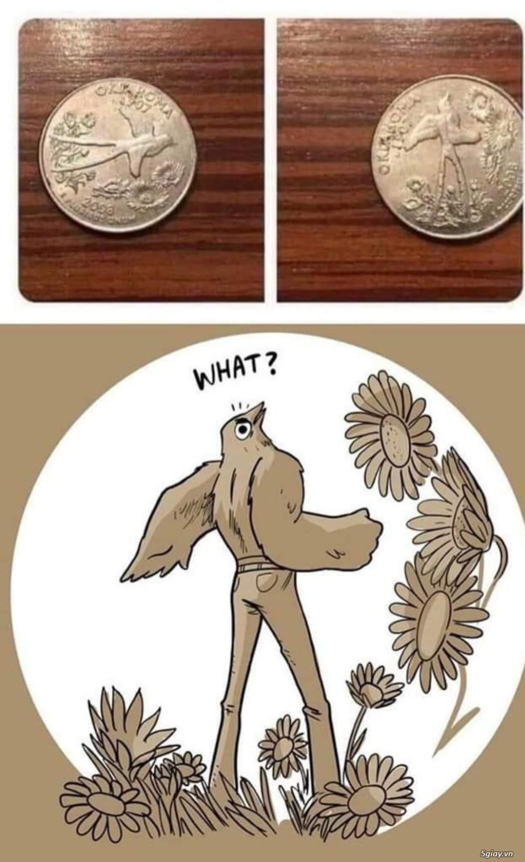 Hình hài hước... Nhiều thể loại vui nhôn - 3