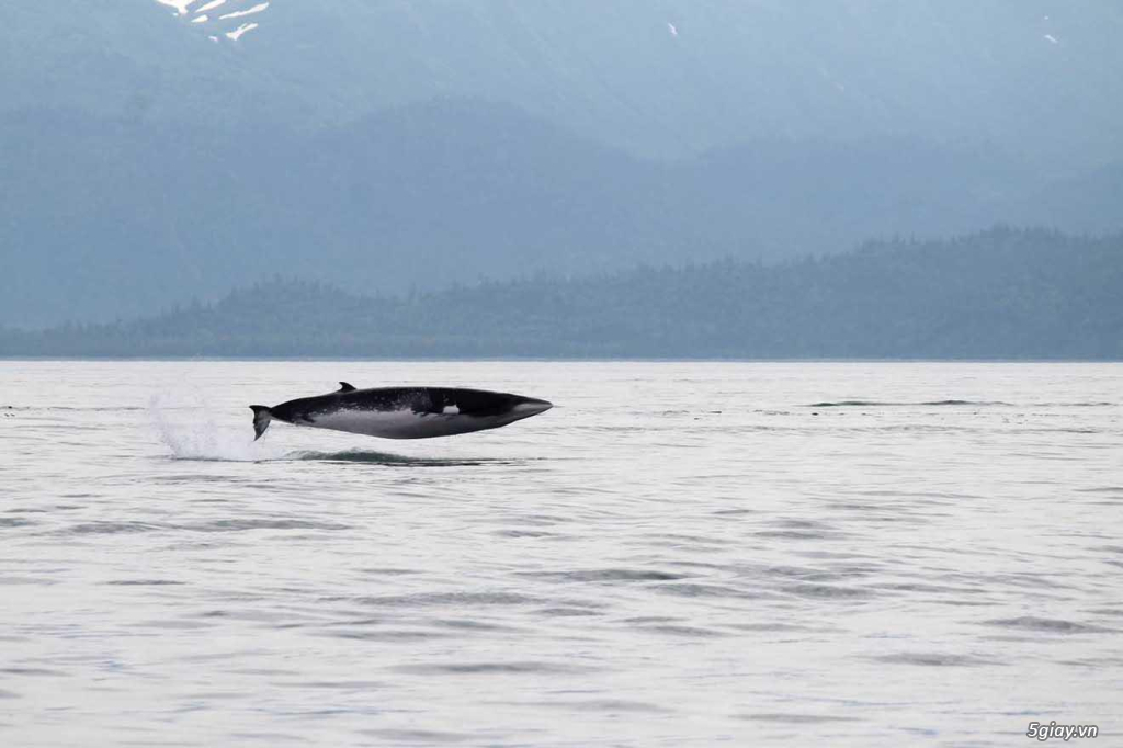 Hình hài hước... Nhiều thể loại vui nhôn - 1