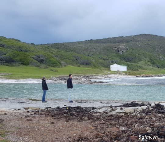 Hình hài hước... Nhiều thể loại vui nhôn