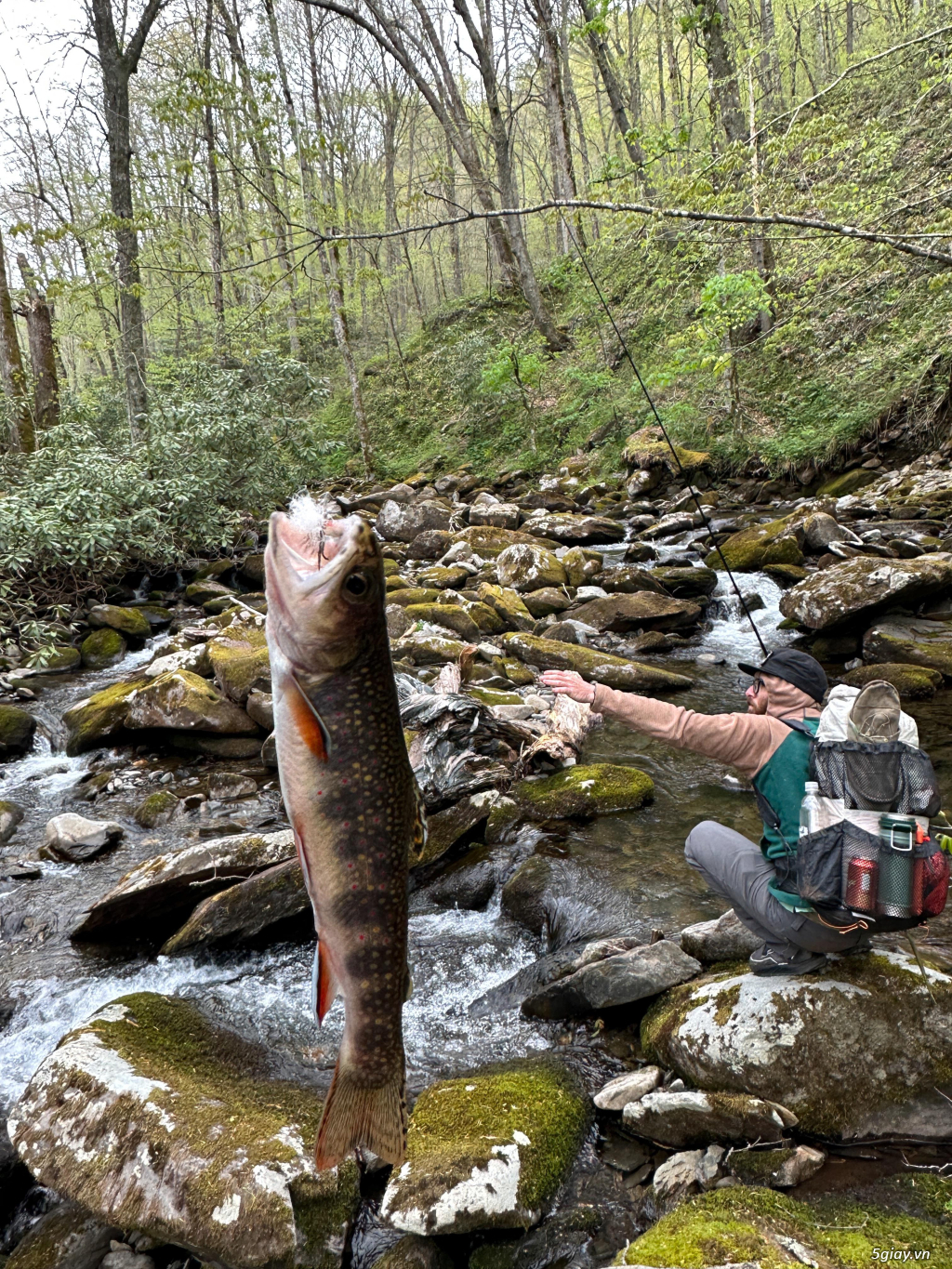 Hình hài hước... Nhiều thể loại vui nhôn - 4