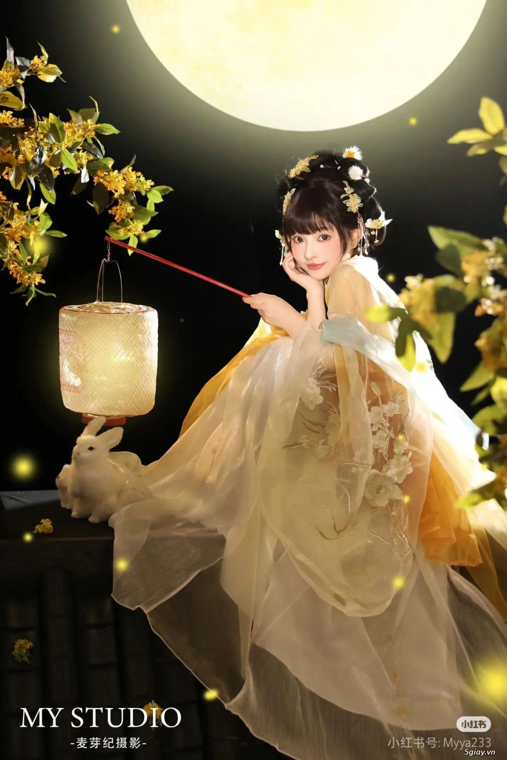 Hình hài hước... Nhiều thể loại vui nhôn