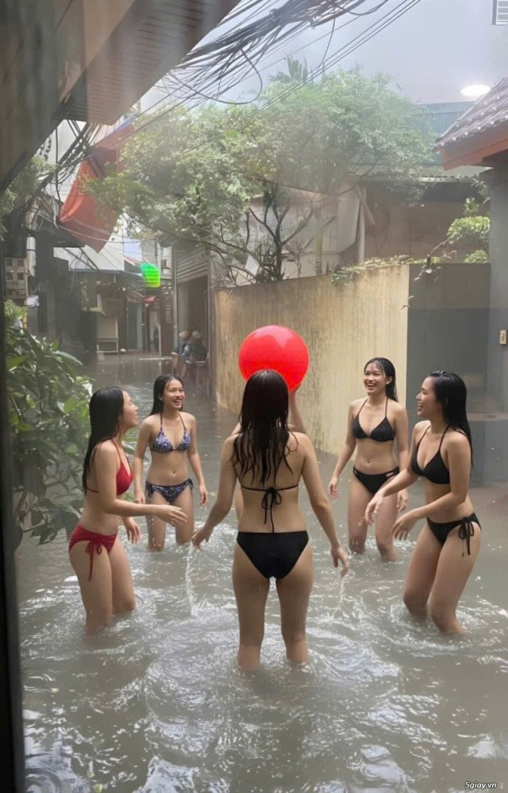 Hình hài hước... Nhiều thể loại vui nhôn - 3