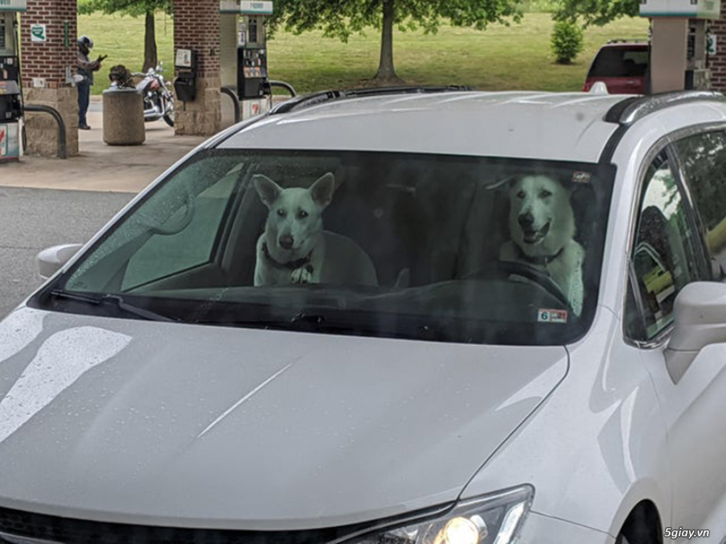 Hình hài hước... Nhiều thể loại vui nhôn - 3