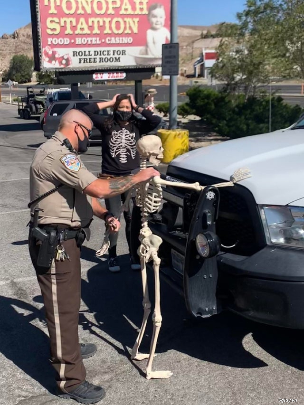 Hình hài hước... Nhiều thể loại vui nhôn