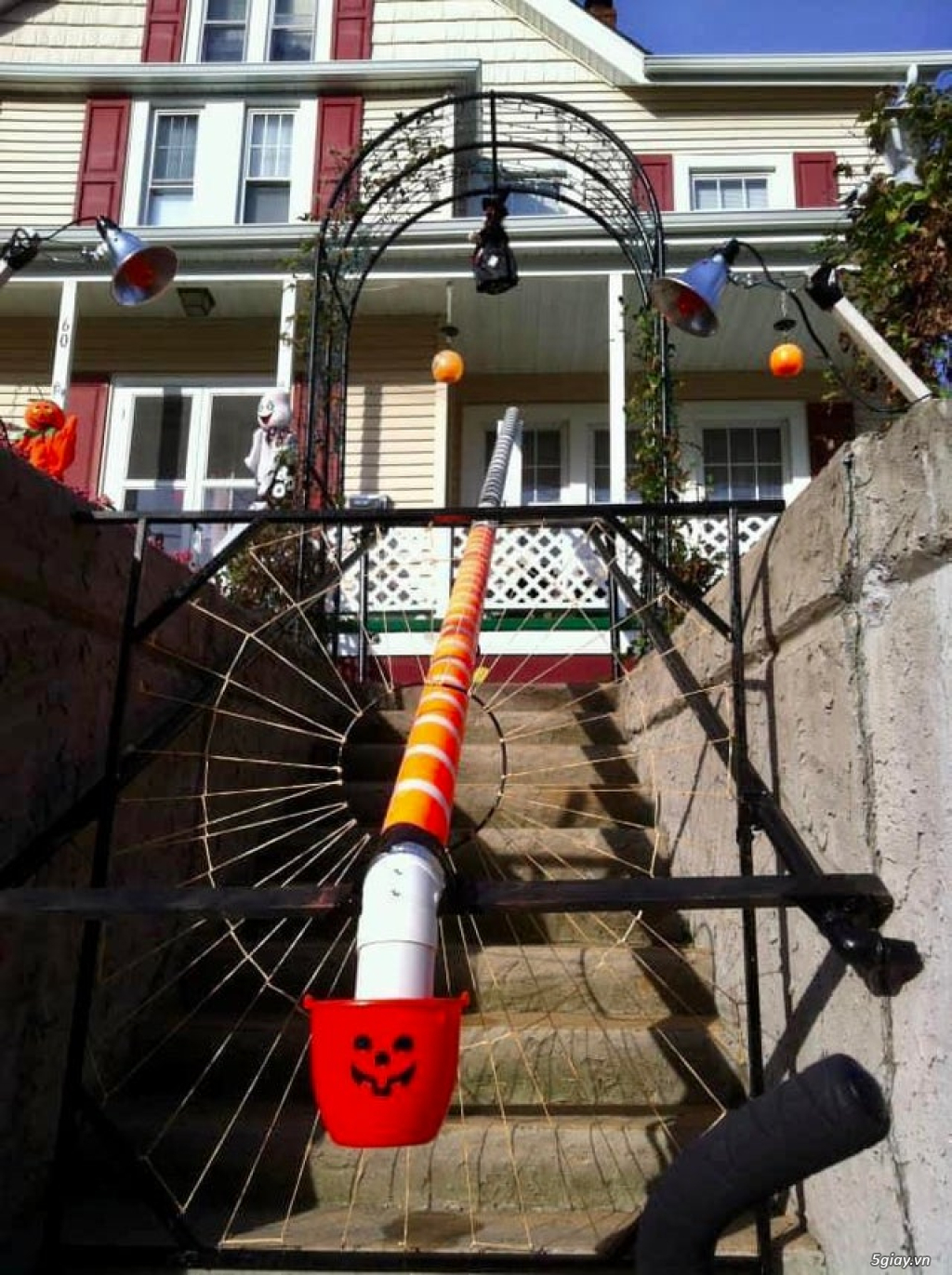 Hình hài hước... Nhiều thể loại vui nhôn