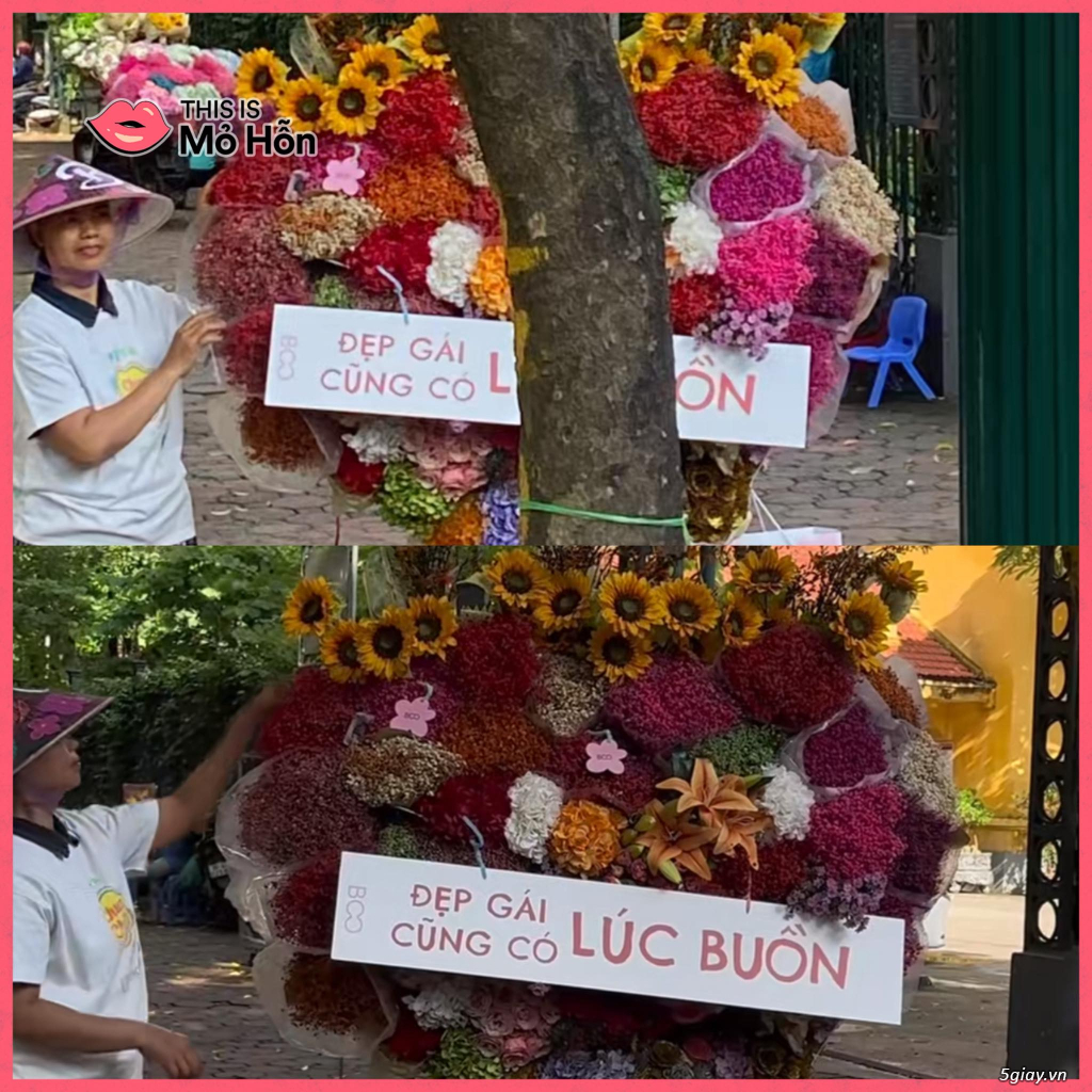 Hình hài hước... Nhiều thể loại vui nhôn