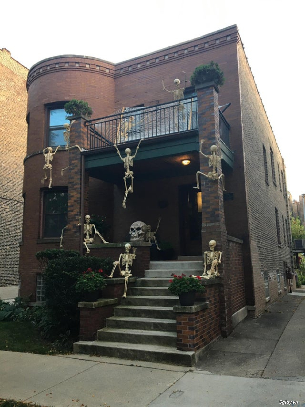 Hình hài hước... Nhiều thể loại vui nhôn - 4