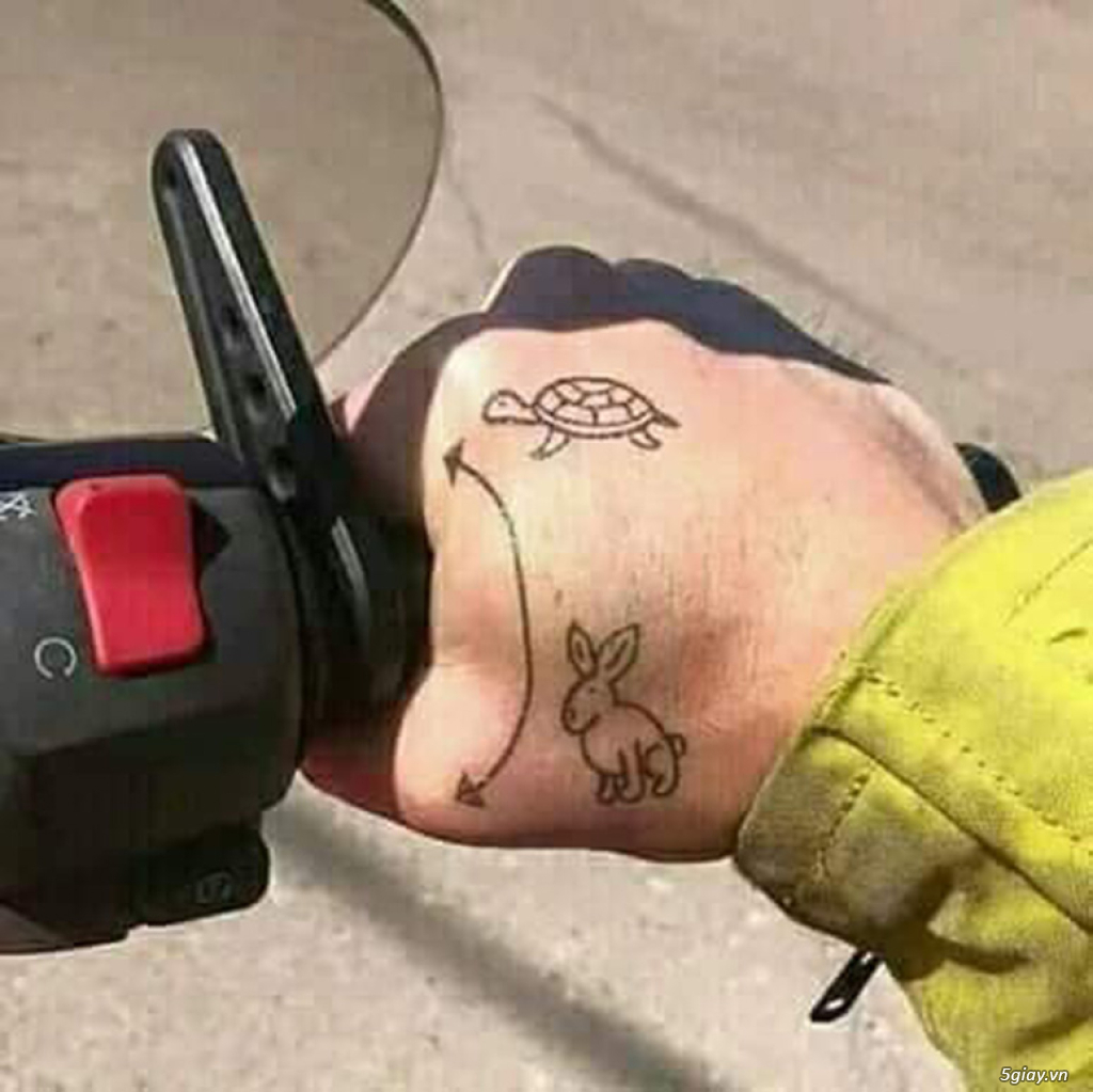 Hình hài hước... Nhiều thể loại vui nhôn - 2