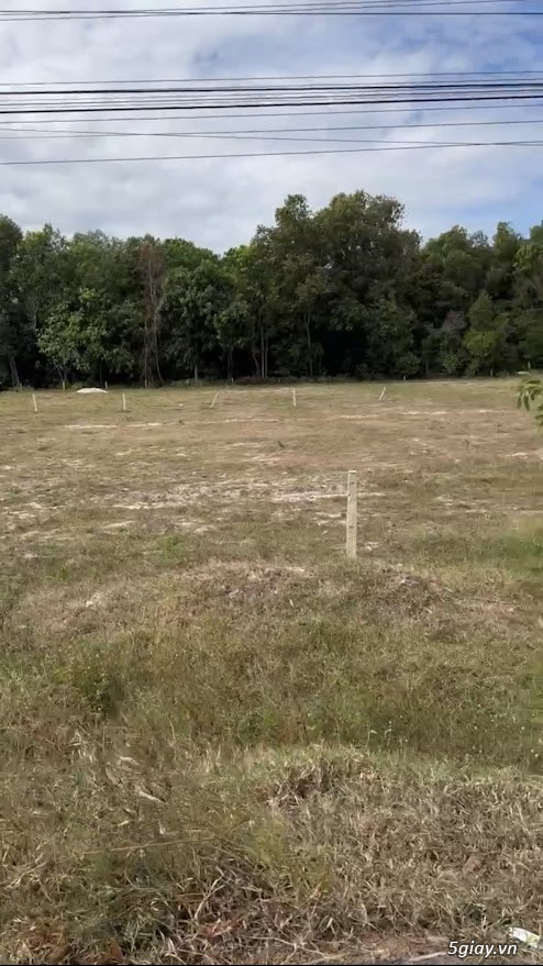 ĐẤT MẶT TIỀN ĐƯỜNG ĐT795, TÂN CHÂU TÂY NINH – ĐẤT ĐẸP, SỔ RIÊNG, GIÁ C - 3