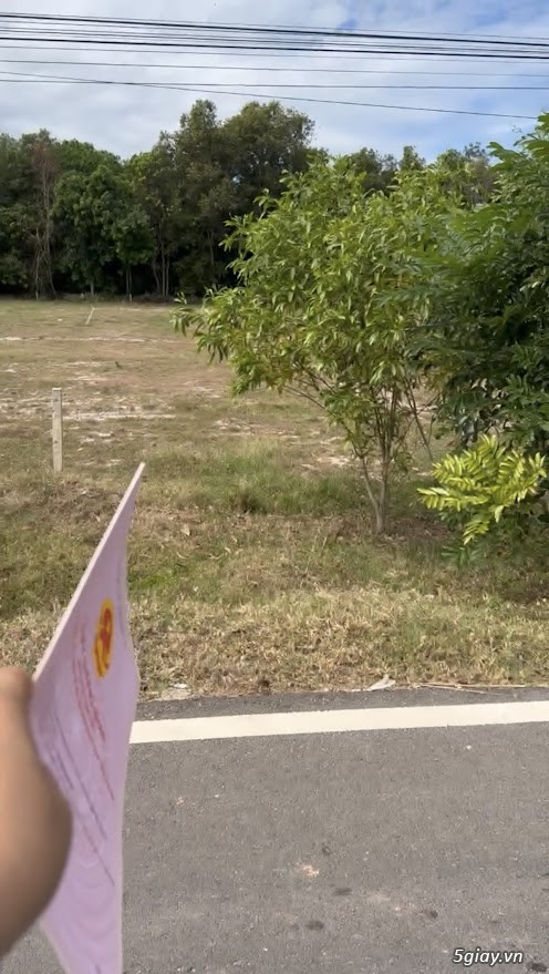 ĐẤT MẶT TIỀN ĐƯỜNG ĐT795, TÂN CHÂU TÂY NINH – ĐẤT ĐẸP, SỔ RIÊNG, GIÁ C - 4