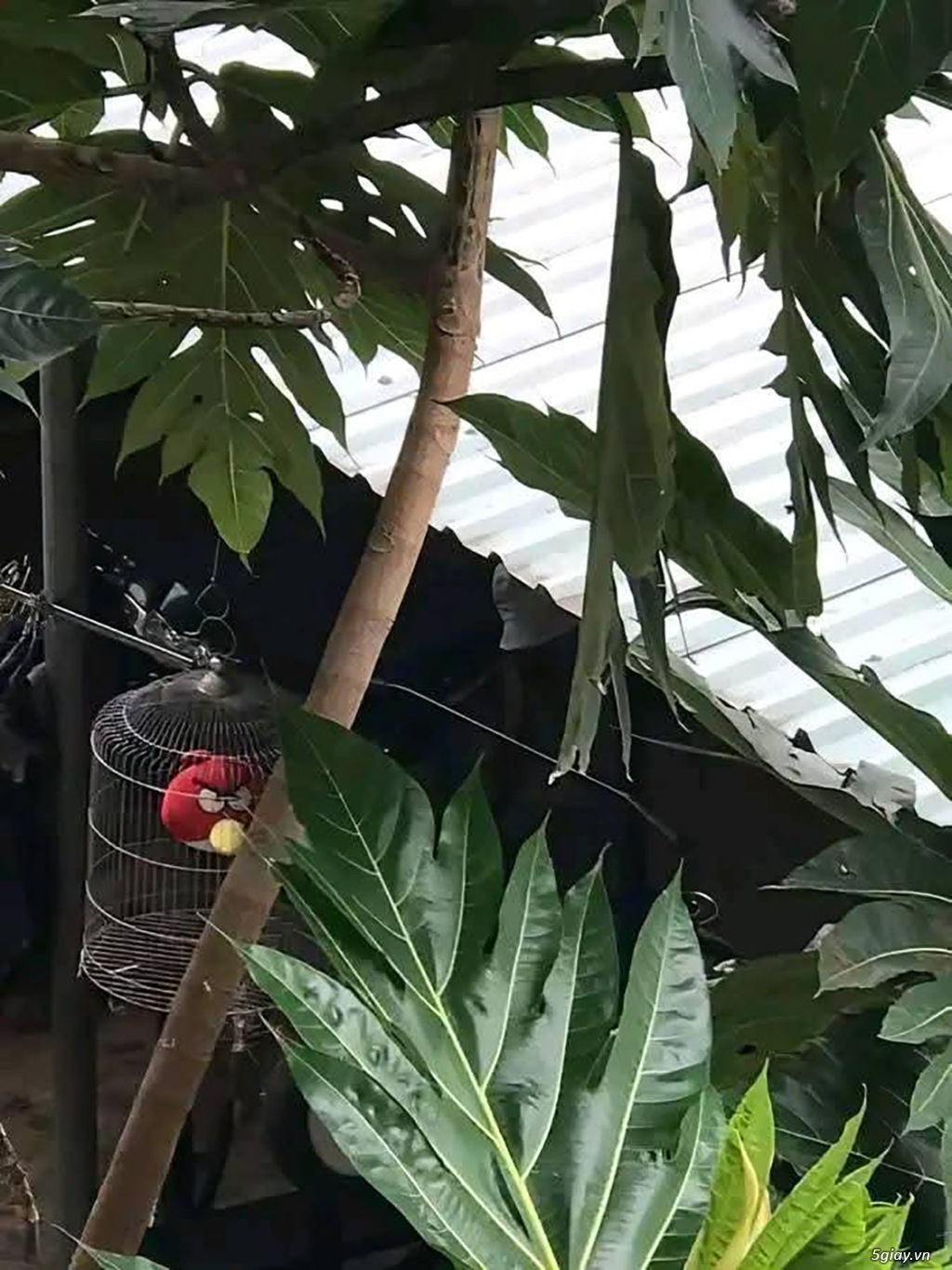 Hình hài hước... Nhiều thể loại vui nhôn - 2