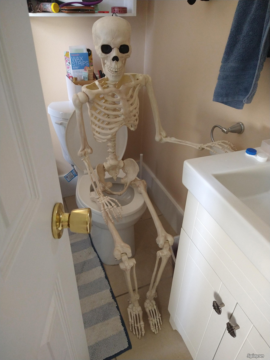 Hình hài hước... Nhiều thể loại vui nhôn - 1