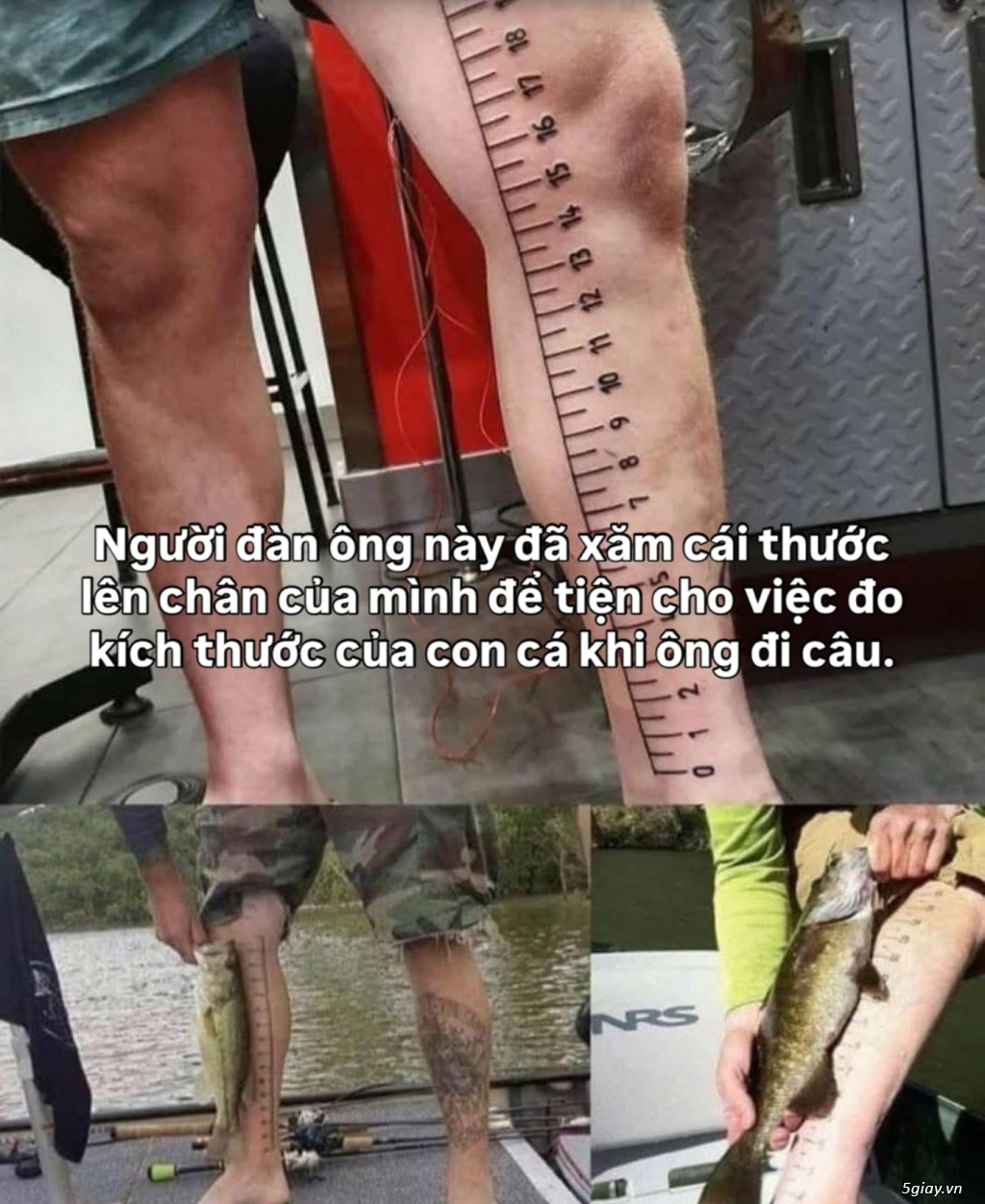 Hình hài hước... Nhiều thể loại vui nhôn - 3