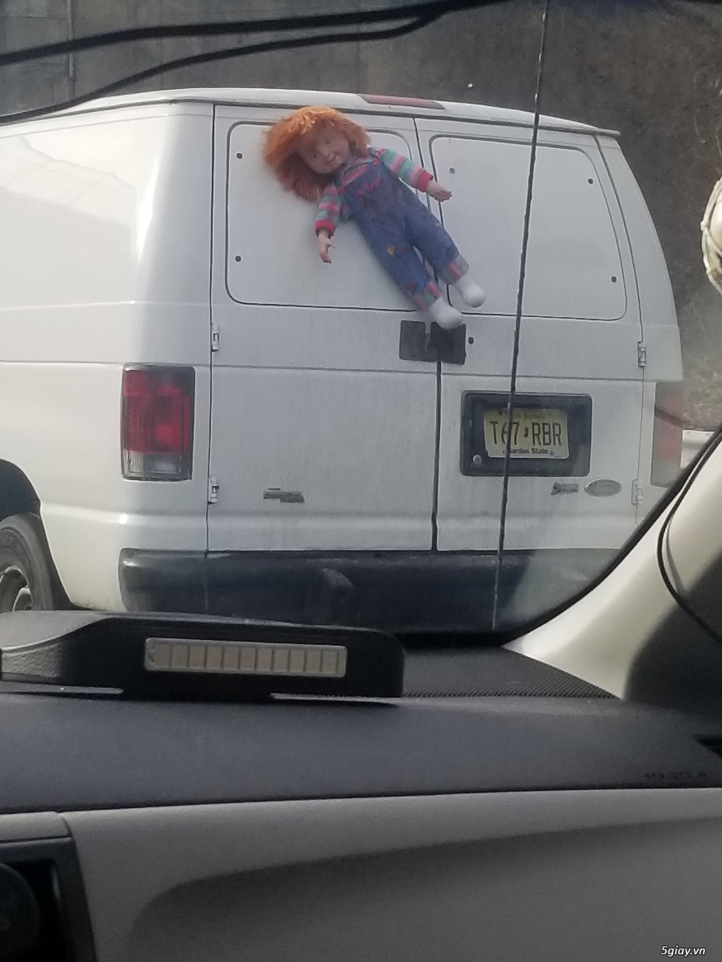 Hình hài hước... Nhiều thể loại vui nhôn