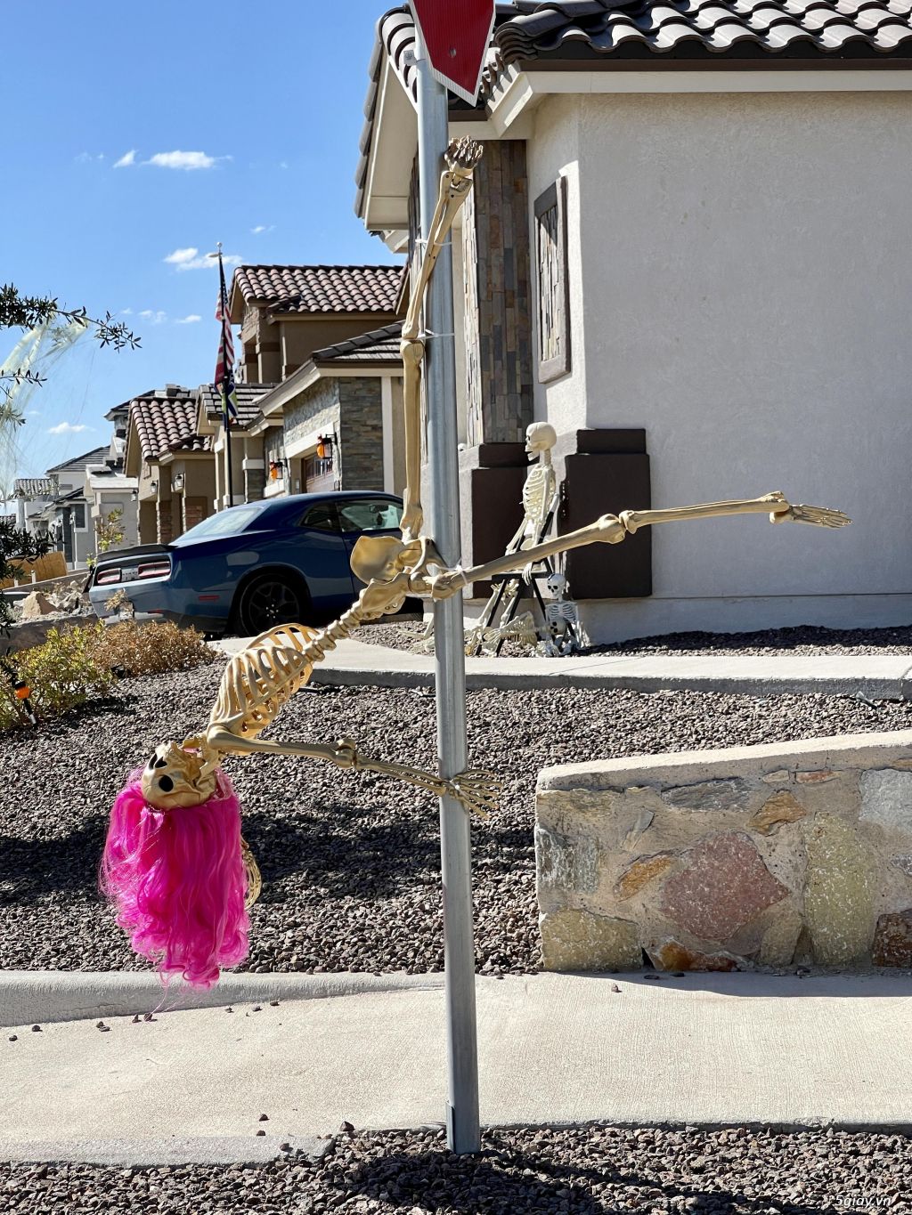 Hình hài hước... Nhiều thể loại vui nhôn - 9