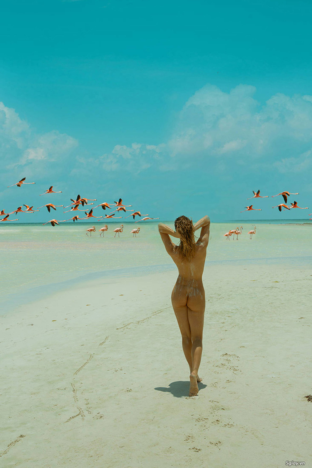 Hình hài hước... Nhiều thể loại vui nhôn - 7