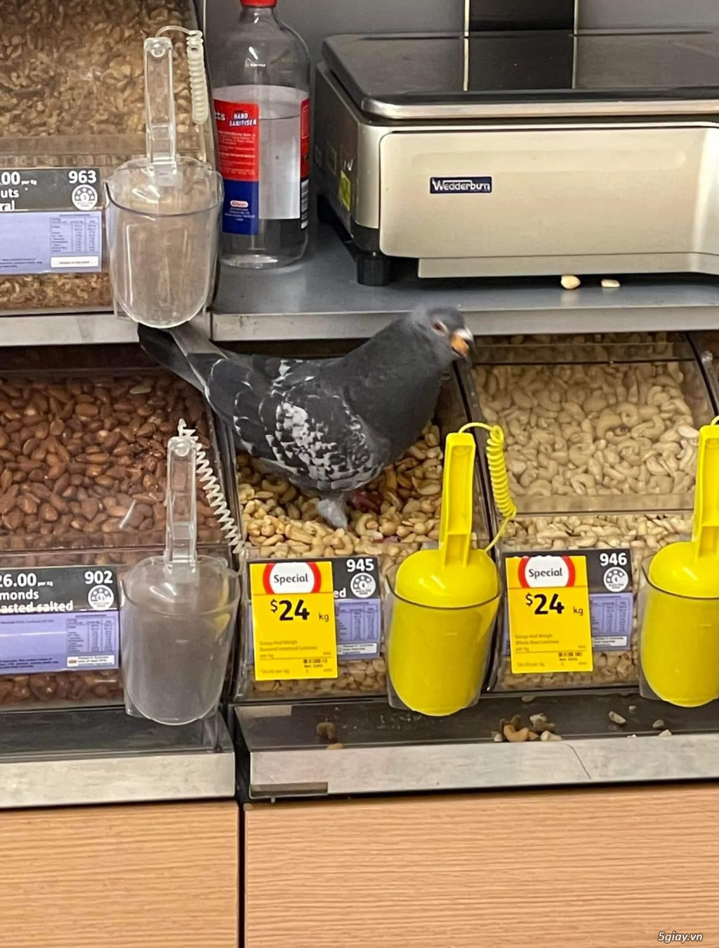 Hình hài hước... Nhiều thể loại vui nhôn - 2