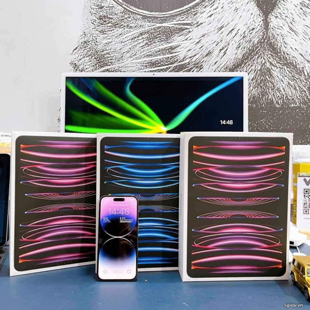 Ipad Pro11 12.9 M2