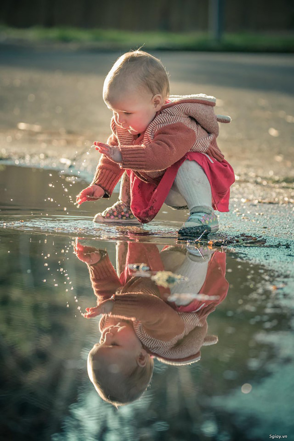 Hình hài hước... Nhiều thể loại vui nhôn - 3