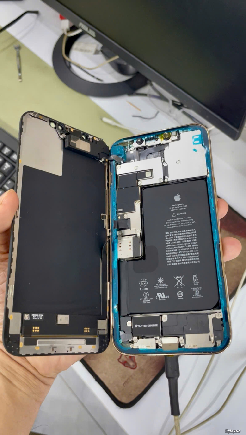 iPhone 11 64GB Quốc tế Mỹ, máy Đẹp Zin Áp suất chỉ 4tr200 - 1