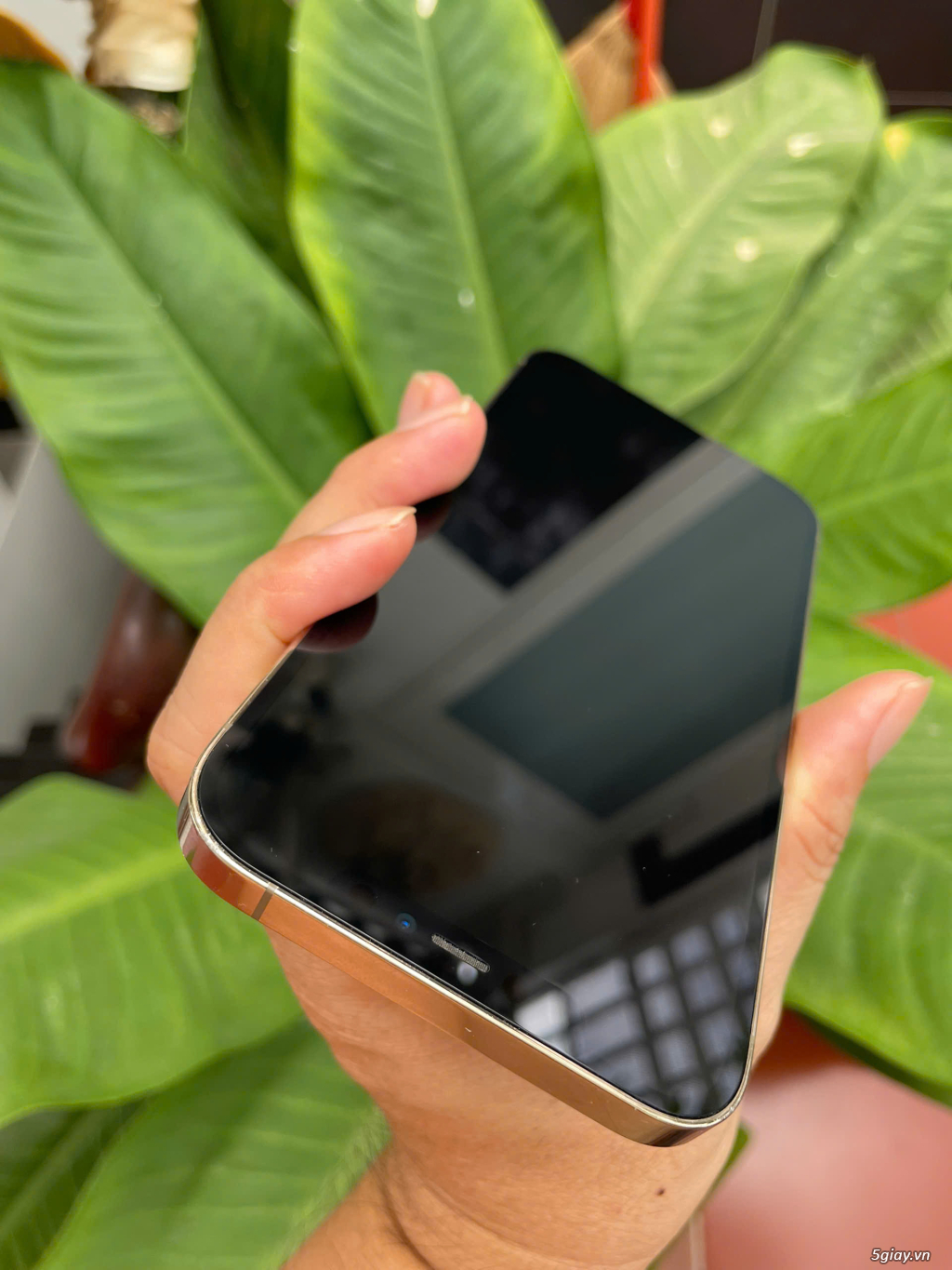 iPhone 11 64GB Quốc tế Mỹ, máy Đẹp Zin Áp suất chỉ 4tr200 - 5