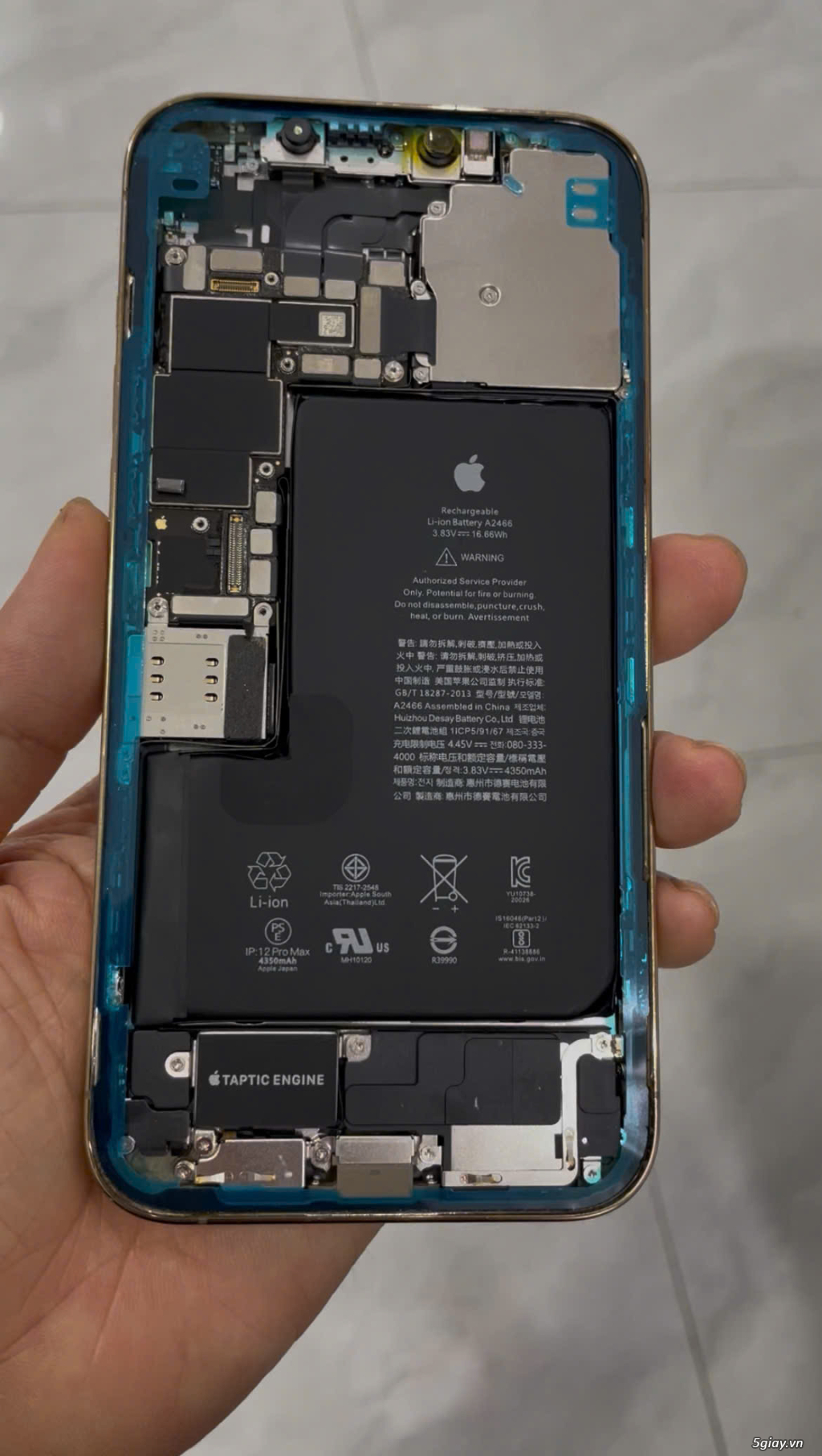 iPhone 11 64GB Quốc tế Mỹ, máy Đẹp Zin Áp suất chỉ 4tr200 - 2