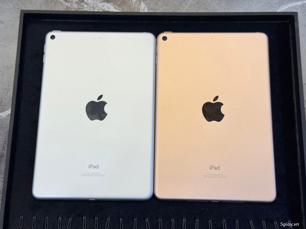 iPad Mini5 64G Wifi