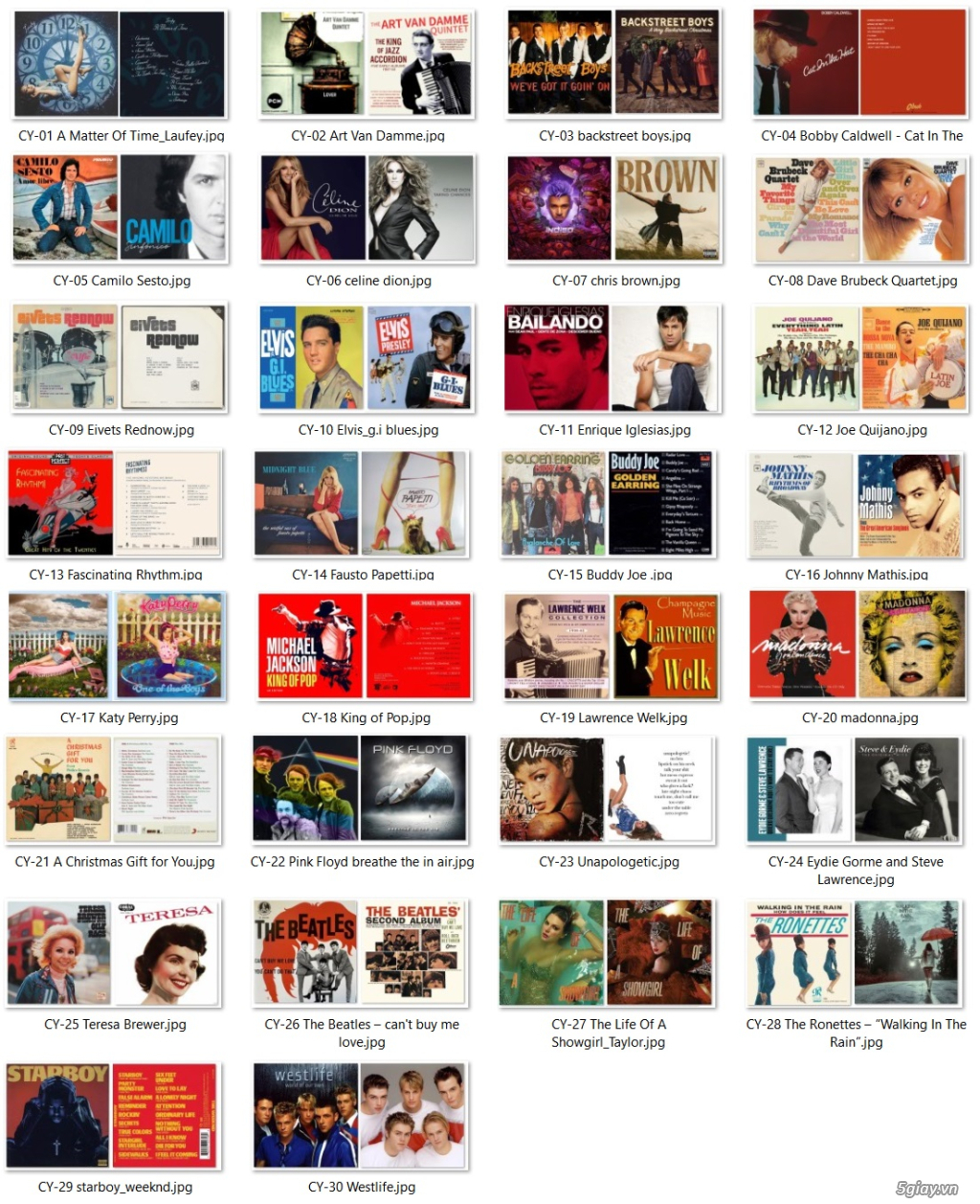 Bìa đĩa than album 2 mặt, dày và cứng cáp decor vintage quán cafe - 4