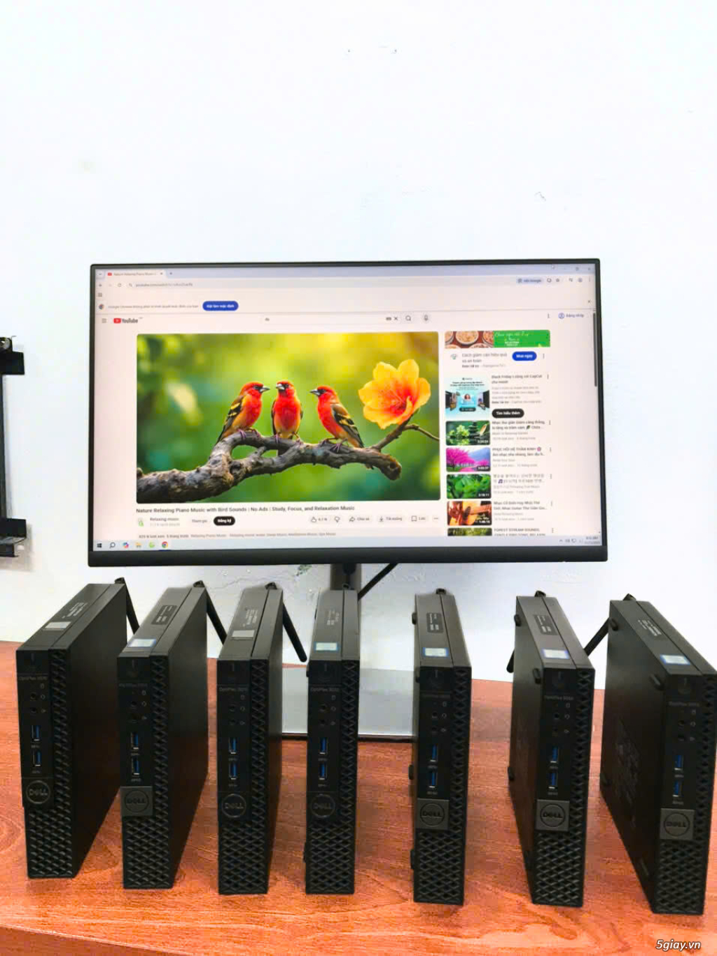 dell optiplex 5050 micro mini i5 6500t ram8g ssd256 phím chuột - 2