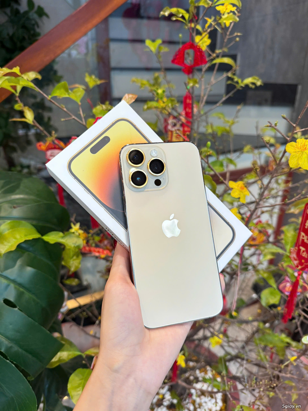 Iphone 14 Pro Max 256gb vàng gold mã Việt Nam .