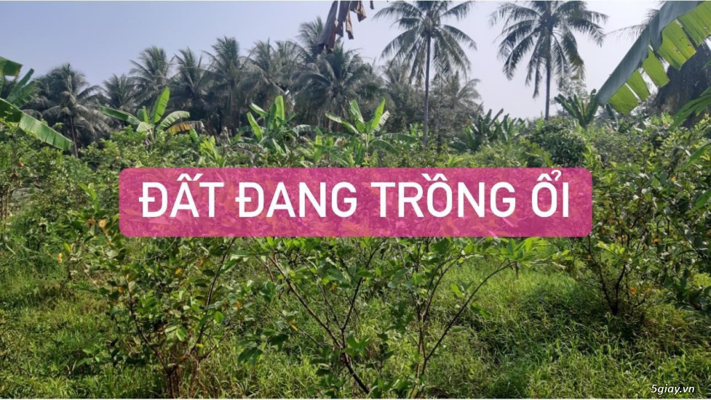 7 TỶ!!! – LÔ ĐẤT MẶT TIỀN ĐƯỜNG NGÔ CHÍ QUỐC! - 1