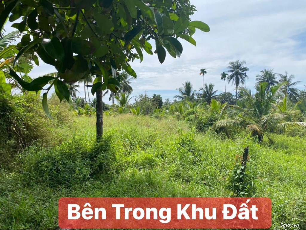 7 TỶ!!! – LÔ ĐẤT MẶT TIỀN ĐƯỜNG NGÔ CHÍ QUỐC! - 4