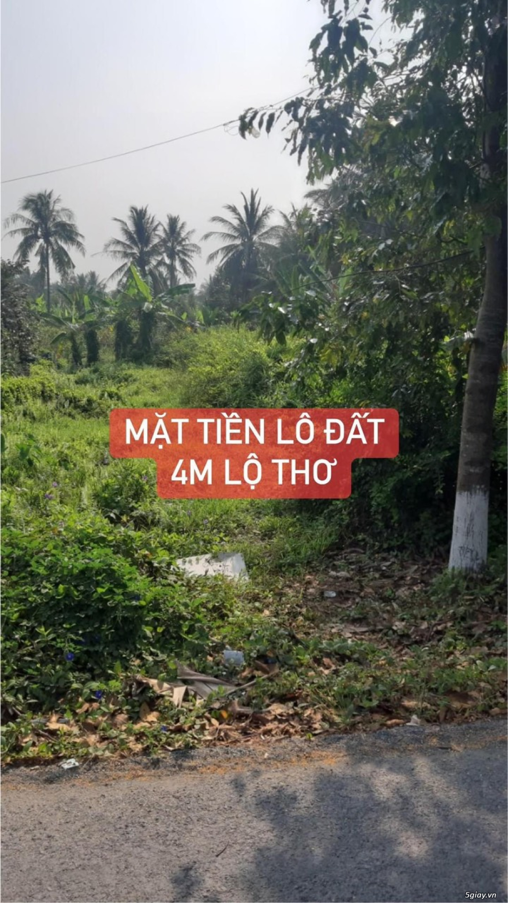 7 TỶ!!! – LÔ ĐẤT MẶT TIỀN ĐƯỜNG NGÔ CHÍ QUỐC! - 2