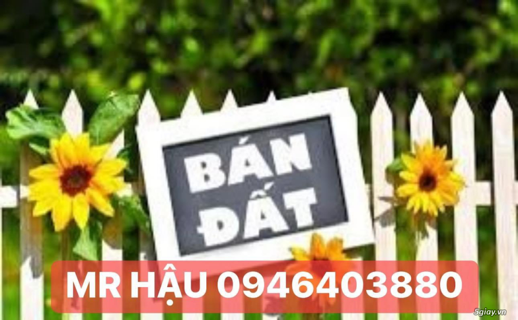 7 TỶ!!! – LÔ ĐẤT MẶT TIỀN ĐƯỜNG NGÔ CHÍ QUỐC!