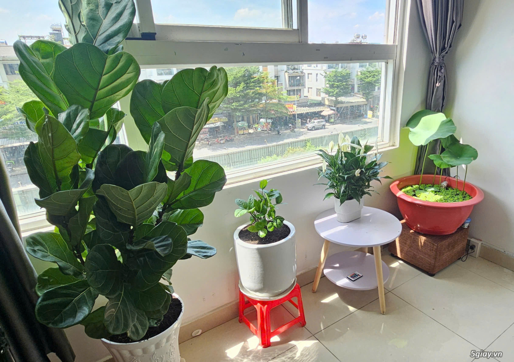 [Bán Chung Cư Quận 2] Phường Cát Lái, căn hộ Citi Soho sổ hồng