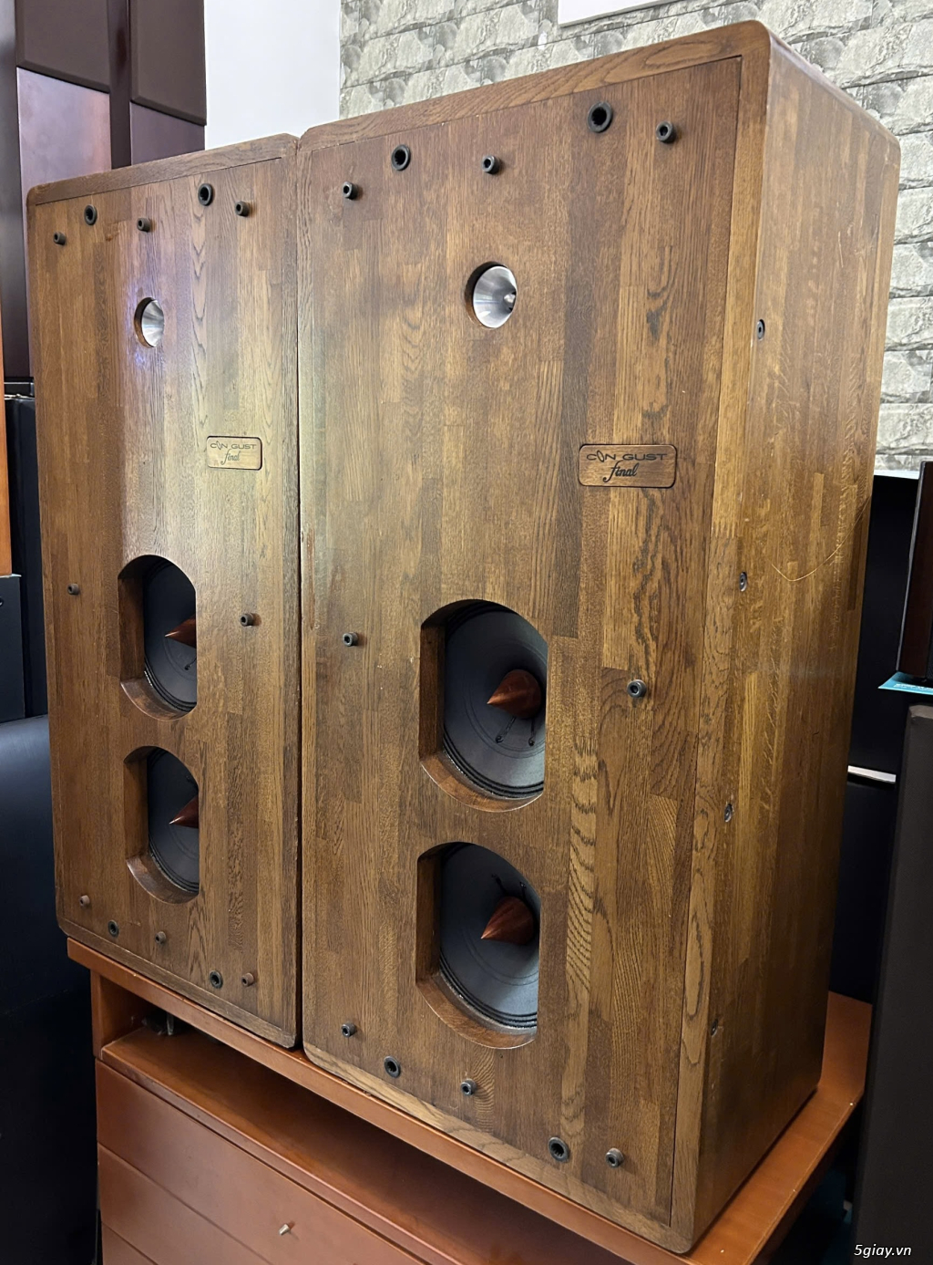 Loa Hi-end Final Congust , Nòi Japan - 4