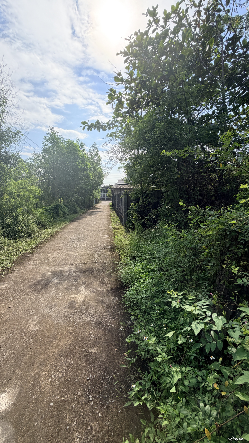 CHÍNH CHỦ CẦN BÁN GẤP LÔ ĐẤT ĐẸP – GIÁ GIẢM MẠNH TẠI LAGI, BÌNH THUẬN - 6