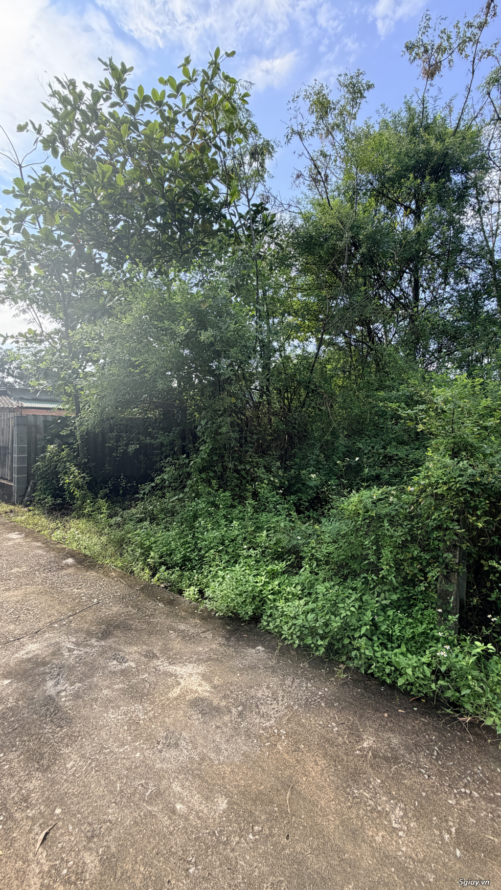 CHÍNH CHỦ CẦN BÁN GẤP LÔ ĐẤT ĐẸP – GIÁ GIẢM MẠNH TẠI LAGI, BÌNH THUẬN - 5